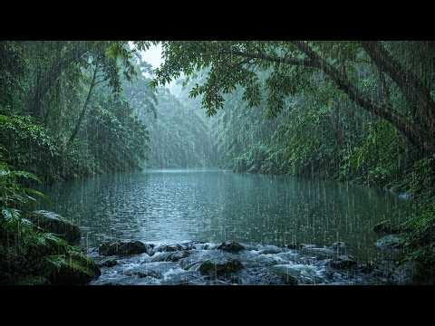 Relaxing Rain on the Lake in the Forest 🌧️ Sleep Deeply, Stress Relief Relax