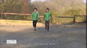 104K views · 1.1K reactions | [EQUIDIA LIFE ACADÉMIE] Quoi de mieux...