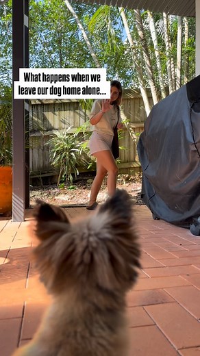 I was gone for 5 minutes 🙄 | Eat Venture Vlogs