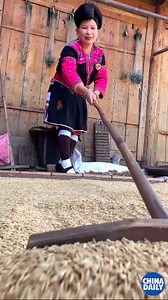203K views · 6.8K reactions | With the development of science and technology, the traditional farming civilization is fading away. Take a look at paddy rice threshing used to be done. As the Chinese saying goes, "every grain comes from hard work”. #ChinaStory | China Daily | Facebook