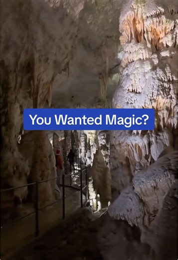 Explore Postojna Cave: Discover Dragons Underground