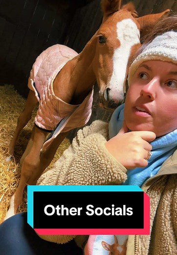 Understanding Linktree for Social Media Growth