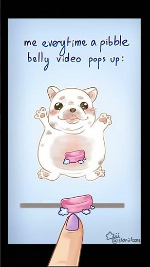 Wash my bellayy !! 🧼 Pibble Meme (FULL VER.)