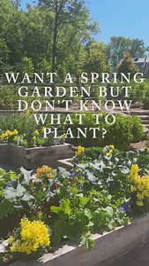 Wanna know everything I’m planting in my spring garden this year and helping my clients plant too? 👇👇👇 Comment PLANS to snag my exact planting plans so you can copy and paste my favorite companion combos into your garden this season. These are some of my favorite things to plant together for more production, pest repellant, and bigger harvests. 🌿 I mapped out exactly where I’m putting all of these plants and more in my spring beds to help you get on top of your spring planting. Comment PLANS