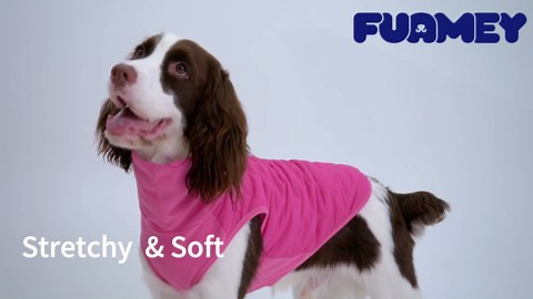 Amazon.com : TP-Link Tapo 2K QHD Outdoor Wireless Security Camera System, Up to 180 Day Battery, Color Night Vision w/Starlight Sensor, Motion/Person/Pet/Vehicle Detection, Works w/Alexa &Google Home(Tapo C420S2) : Electronics