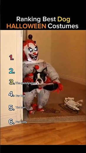 Ranking The Best Dog HALLOWEEN Costumes! 😍🎃