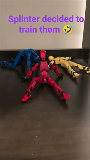 master splinter went crazy on em