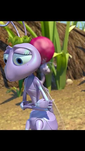 គណនីដែលបានណែនាំ