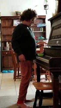 Dino Dan theme played by Cedric