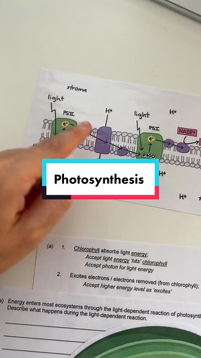 How many marks would you have got? #alevelbiology #biology #apbiology