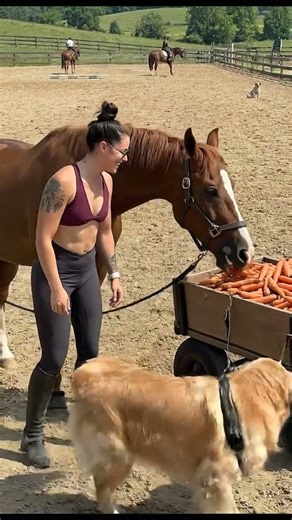 A clever dog pulls a cart of carrots for a woman and a horse. #horse #nature #love #anima