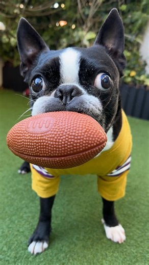 Bogdan Catalin on Instagram: "Offside trap"