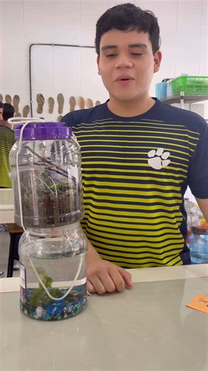 International School TGU on Instagram: "From bottles to ecosystems 🌎🌱 Our students built their own self-sustaining EcoColumns to explore how nature works—layer by layer. Each column shows the balance between land, water, and life, and reminds us how every part of the ecosystem matters. #EcoColumn #StudentScientists #HandsOnLearning #ISTGoesGreen #SustainabilityInAction"