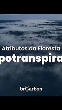 Série: Atributos da Floresta - Evapotranspiração