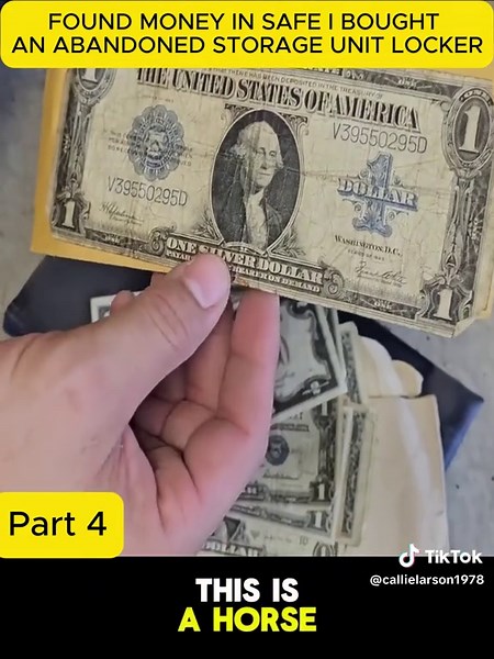 Exploring Hidden Gems in Storage Units