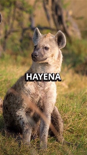 Craziest Animal Sounds EVER! You Won't Believe Your Ears! #shorts