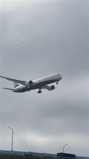 大園飛機起降觀賞點.桃園機場05L跑道（大園埔心里飛機巷）（台灣飛機場Taiwan Taoyuan International Airport）降落桃園機場長榮航空787