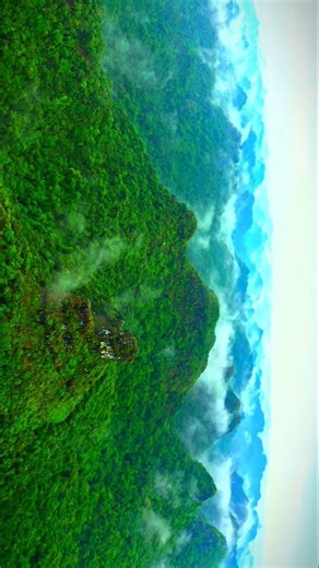 Beauty of Nature 🌿✨