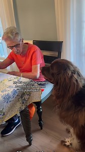 197K views · 130K reactions | Hello October  #fyp | Chewythenewfoundland | Facebook