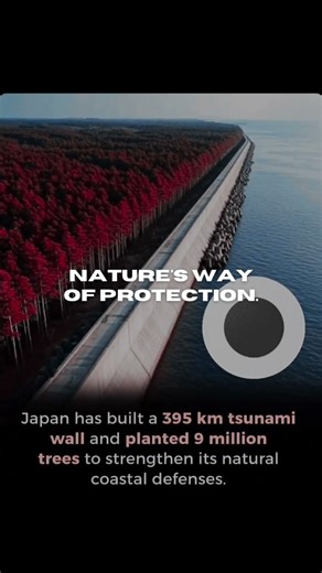 Japan’s 395 km Shield Against the Sea: How Preparation Saves Lives