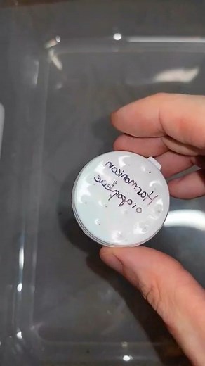 Unboxing Venomous Spiders: Devil Curtain Web & Thailand Cave Huntsman