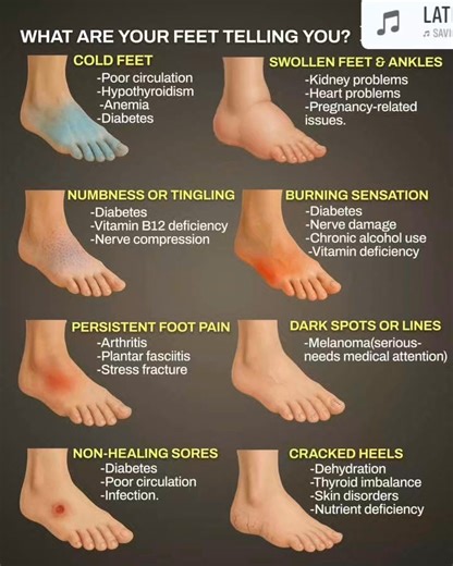 This infographic explains how your feet can reveal important clues about your overall health. Cold feet may indicate poor circulation, hypothyroidism, anemia, or diabetes. Swollen feet and ankles can be signs of kidney, heart, or pregnancy-related problems. Numbness, tingling, or burning sensations often suggest nerve damage, vitamin deficiencies, or diabetes. Persistent pain, non-healing sores, dark spots, or cracked heels can signal more serious issues like arthritis, infections, melanoma, or 