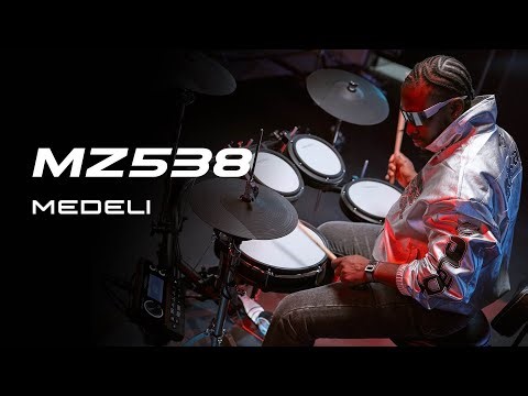Introduction | MZ538 | Medeli