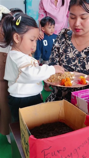 Jamara Planting: Traditions and Care Tips