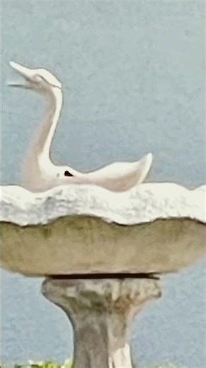 Hiking in Gainesville, FL #hiking #hikingadventures #naturewalk