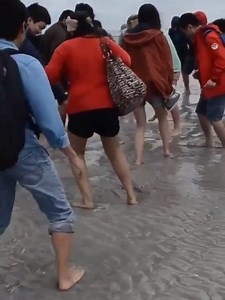 656K views · 1.9K reactions | El trabajo en equipo puede salvarte la vida, mira porque... | El Universo de Memes | Facebook