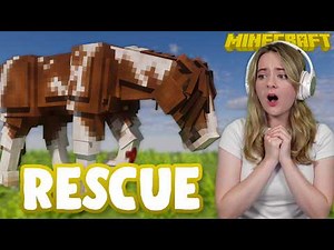 INJURED PONY! - 100 Days Rescuing Horses in Minecraft LIVE | Pinehaven
