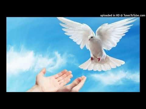 Spiritual Meaning of Urine in the Dream || Divine Revelations Nigeria