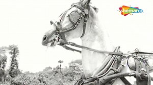 Filmi Gaane on Reels