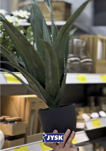 JYSK Azərbaycan on TikTok