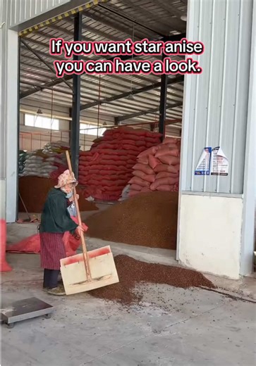 Exploring Star Anise: Benefits and Uses