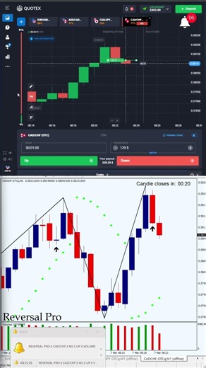 Reversal Pro Indicator: #binaryoptions #iqoptionwinningstrategy #quotex #mt4 #100winratestrategy