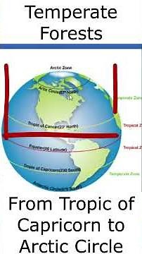 Types of Forests in the World | Classification by Latitude, Altitude & Land Area #forest #geography