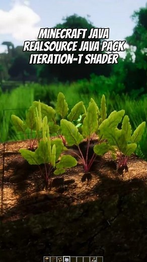 Realistic texture pack for Minecraft JAVA - RealSource JAVA pack