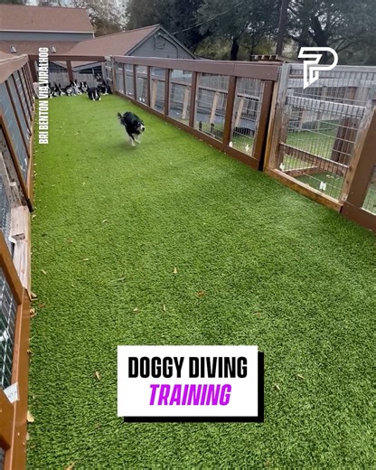 298K views · 1.7K reactions | They all jump so far!  | Pubity | Facebook