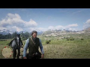 See Full Map Cheat (Full Area Reveal) - Red Dead Redemption 2 Cheats