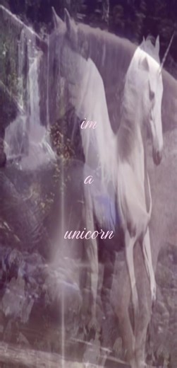 Exploring the Magic of Unicorns and Their Charm