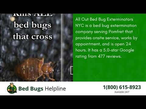Top 3 Bed Bug Removal Companies in Pomfret