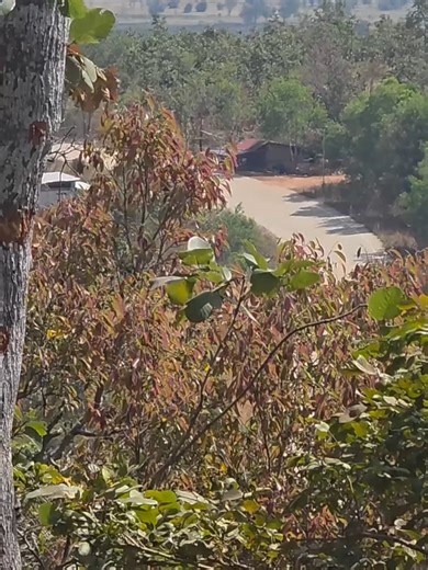 "ช่องเสม็ด" จุดยุทธศาสตร์สำคัญบริเวณชายแดนไทย-กัมพูชา (ในเขต จ.สุรินทร...