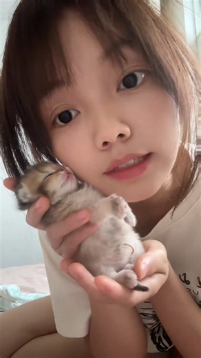 Sammy Xiu on Instagram: "Even on the hardest days, I still kiss him like I believe in something #cat #cute #animals #kittens #meow"