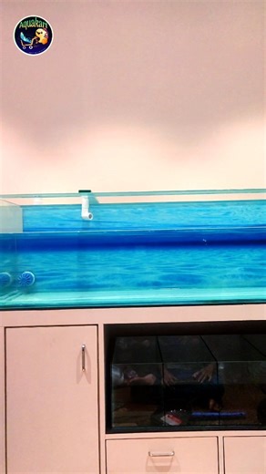 Multiple Custom Aquarium Deliveries in One Day | 6ft Monster Tank Making True Zero Silicon Finish 🔥, Premium Cabinets & Full Setup Guide #aquakart #USATechnology #zerosilicone #aquarium #fish #fishtank #aquascape #aquariumhobby #aquascaping #aquariumfish #aquariums #plantedtank #plantedaquarium #fishkeeping #freshwater #shrimp #aquaticplants #arowana #photography #aquariumplants #hobby #fishkeeper #trendingreelsvideo #aquariumtank #goldfish #fishtanks #decoration #aquarium #homedecoration #inte