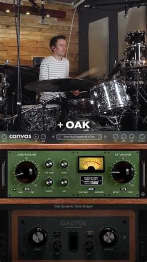 Canvas Audio Dynamic Duo Bundle - Oak & Cactus Demo