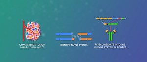 Single-cell analysis with nanopore sequencing