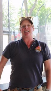 186 reactions · 11 shares | Ever wondered what a zookeeper's day looks like? Meet Jen E, a zookeeper on the Cat Bear team! From keeping her animals clean, fed, and comfortable to creating stimulation enrichment, her day is nonstop. Thank you to Jen and our whole Animal Care team for ensuring happy heathy animals call our zoo home! . . . #GPZoo #Zoo #SiouxFalls #ZookeeperWeek #Thankful #Bears | Great Plains Zoo | Facebook