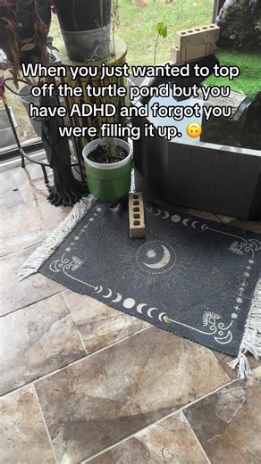 Lmao flooded the patio today. 😩 #adhd #pond #flood #adhdprobs #help