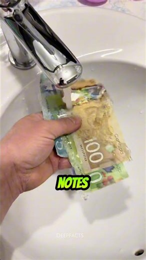 Why Does Some Money Feel Like Plastic?